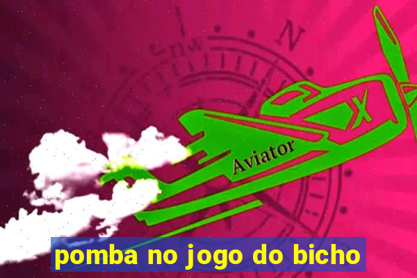 pomba no jogo do bicho